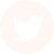 Logo de Twitter2